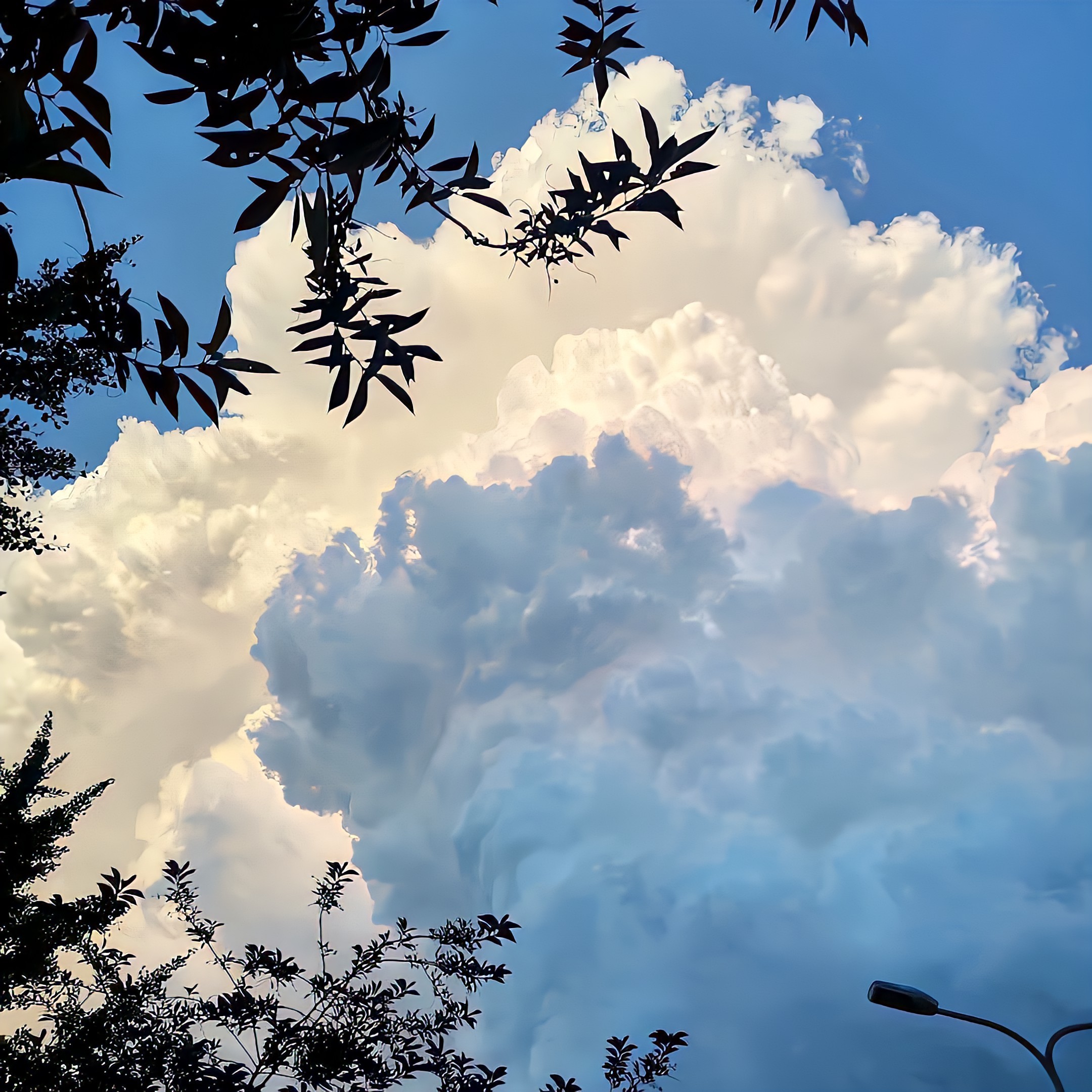 Markdown语法讲解